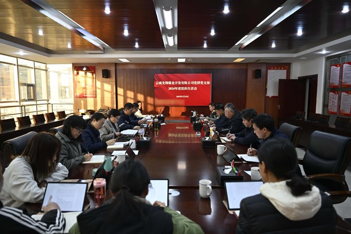 先锋煤业公司党组织圆满完成2024年度组织生活会