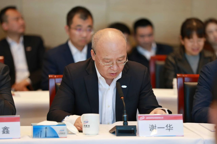 能投集团总裁、副董事长谢一华发言.jpg